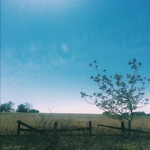 Meet your Posher, Lynette